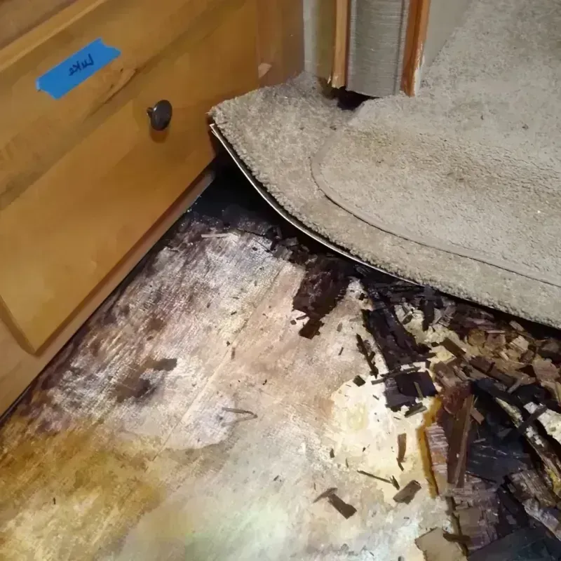 Best Wood Floor Water Damage Service in Lac du Flambeau, WI